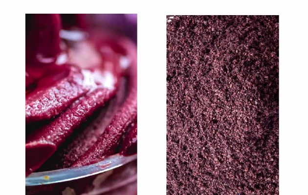 Sorbet e açaí em pó brasileiros